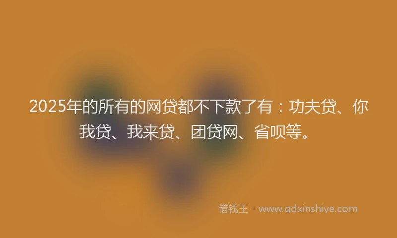 2025年的所有的网贷都不下款了有：功夫贷、你我贷、我来贷、团贷网、省呗等。