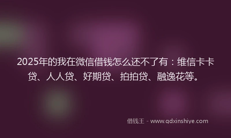 2025年的我在微信借钱怎么还不了有：维信卡卡贷、人人贷、好期贷、拍拍贷、融逸花等。