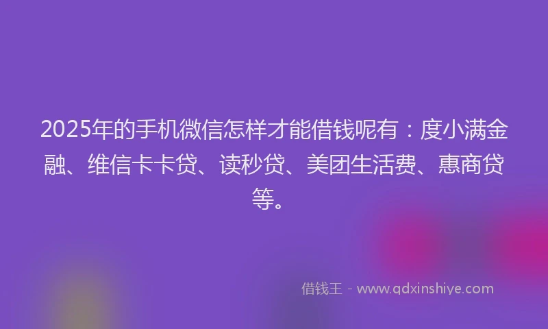 2025年的手机微信怎样才能借钱呢有：度小满金融、维信卡卡贷、读秒贷、美团生活费、惠商贷等。