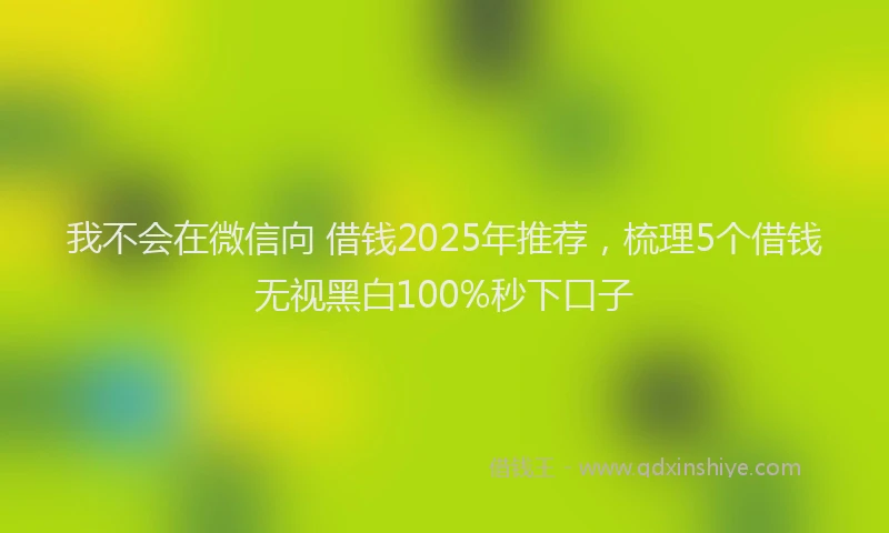 我不会在微信向 借钱2025年推荐，梳理5个借钱无视黑白100%秒下口子