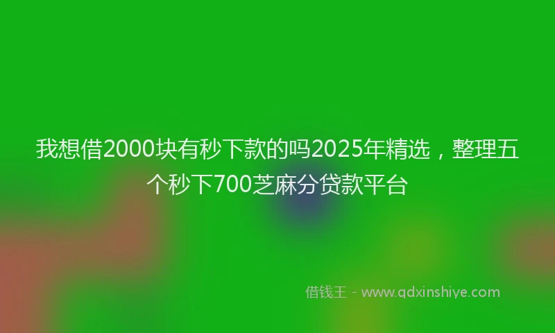 我想借2000块有秒下款的吗2025年精选，整理五个秒下700芝麻分贷款平台