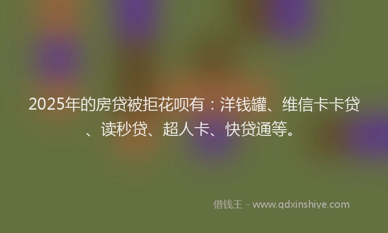 2025年的房贷被拒花呗有：洋钱罐、维信卡卡贷、读秒贷、超人卡、快贷通等。