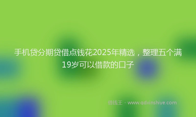 手机贷分期贷借点钱花2025年精选，整理五个满19岁可以借款的口子