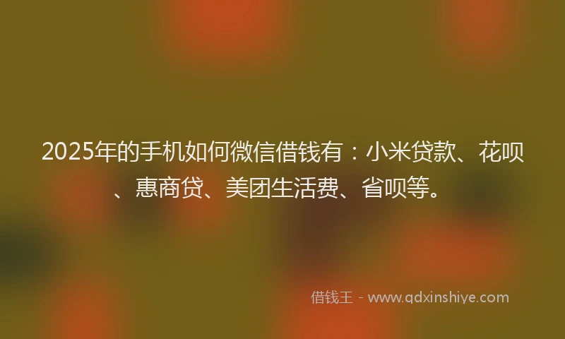 2025年的手机如何微信借钱有：小米贷款、花呗、惠商贷、美团生活费、省呗等。
