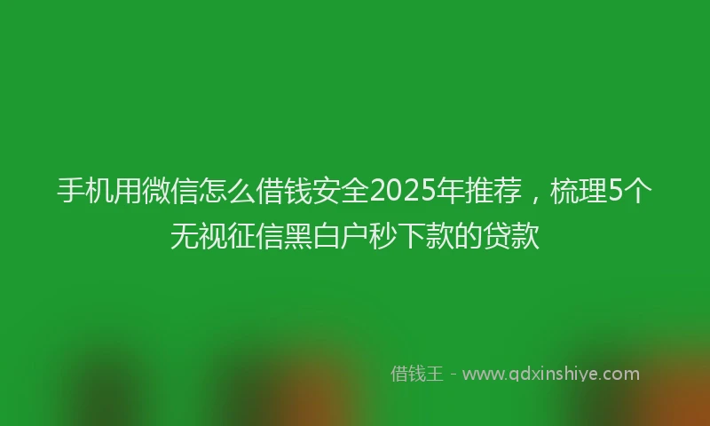 手机用微信怎么借钱安全2025年推荐，梳理5个无视征信黑白户秒下款的贷款