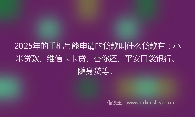 2025年的手机号能申请的贷款叫什么贷款有：小米贷款、维信卡卡贷、替你还、平安口袋银行、随身贷等。
