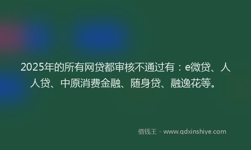 2025年的所有网贷都审核不通过有：e微贷、人人贷、中原消费金融、随身贷、融逸花等。