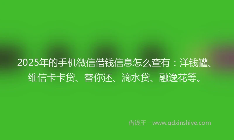 2025年的手机微信借钱信息怎么查有：洋钱罐、维信卡卡贷、替你还、滴水贷、融逸花等。