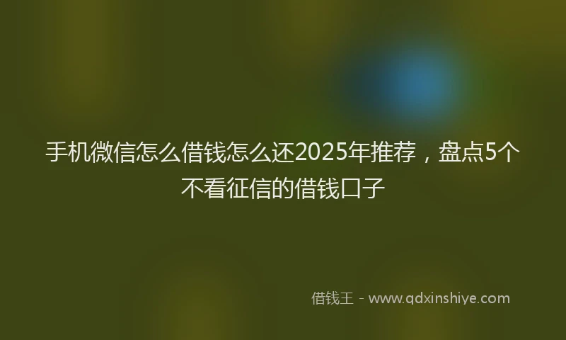 手机微信怎么借钱怎么还2025年推荐，盘点5个不看征信的借钱口子