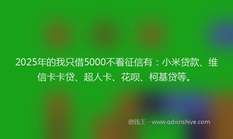 2025年的我只借5000不看征信有：小米贷款、维信卡卡贷、超人卡、花呗、柯基贷等。