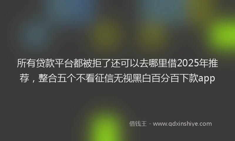 所有贷款平台都被拒了还可以去哪里借2025年推荐，整合五个不看征信无视黑白百分百下款app