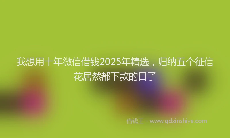 我想用十年微信借钱2025年精选，归纳五个征信花居然都下款的口子
