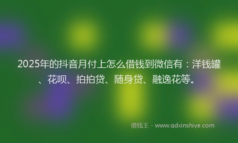 2025年的抖音月付上怎么借钱到微信有：洋钱罐、花呗、拍拍贷、随身贷、融逸花等。