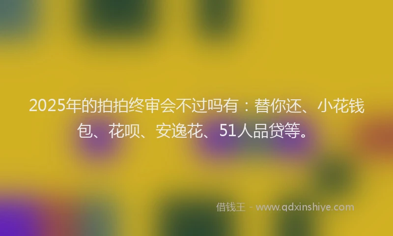 2025年的拍拍终审会不过吗有：替你还、小花钱包、花呗、安逸花、51人品贷等。