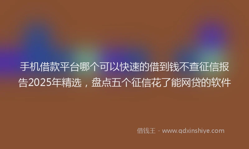 手机借款平台哪个可以快速的借到钱不查征信报告2025年精选，盘点五个征信花了能网贷的软件
