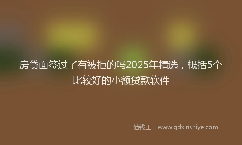 房贷面签过了有被拒的吗2025年精选，概括5个比较好的小额贷款软件