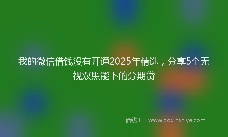 我的微信借钱没有开通2025年精选，分享5个无视双黑能下的分期贷