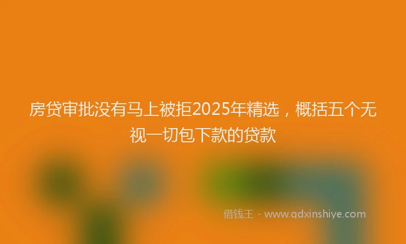 房贷审批没有马上被拒2025年精选，概括五个无视一切包下款的贷款