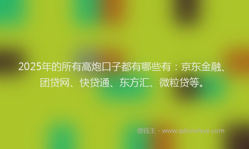 2025年的所有高炮口子都有哪些有：京东金融、团贷网、快贷通、东方汇、微粒贷等。