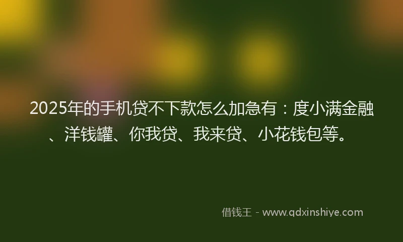 2025年的手机贷不下款怎么加急有：度小满金融、洋钱罐、你我贷、我来贷、小花钱包等。