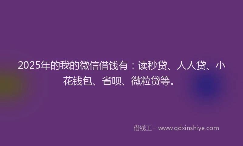 2025年的我的微信借钱有：读秒贷、人人贷、小花钱包、省呗、微粒贷等。