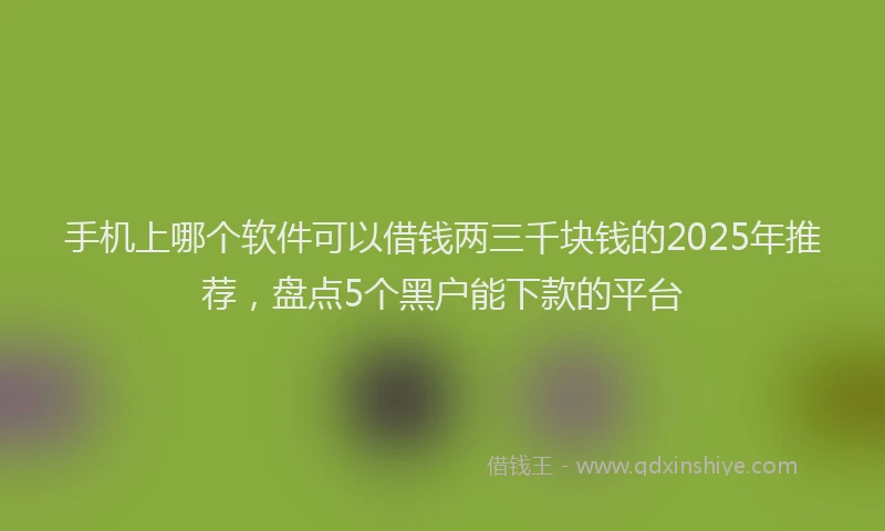 手机上哪个软件可以借钱两三千块钱的2025年推荐，盘点5个黑户能下款的平台