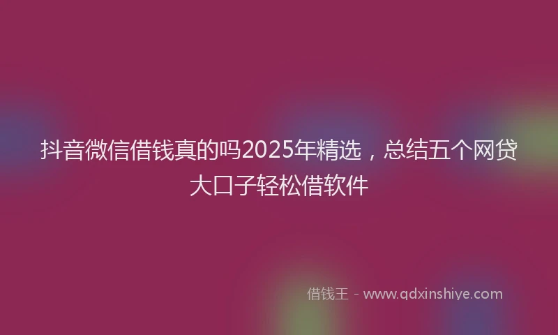 抖音微信借钱真的吗2025年精选，总结五个网贷大口子轻松借软件