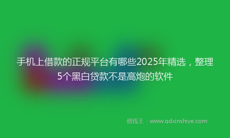 手机上借款的正规平台有哪些2025年精选，整理5个黑白贷款不是高炮的软件