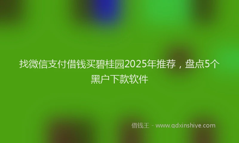 找微信支付借钱买碧桂园2025年推荐，盘点5个黑户下款软件