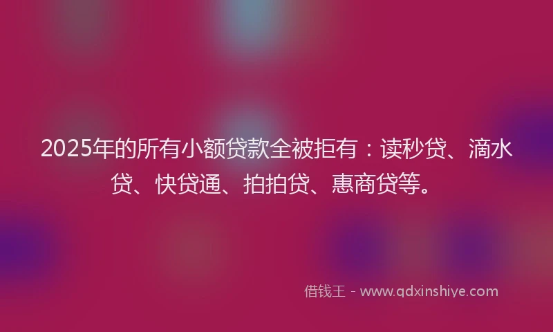 2025年的所有小额贷款全被拒有：读秒贷、滴水贷、快贷通、拍拍贷、惠商贷等。