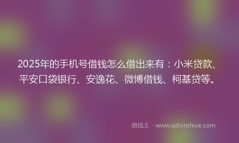 2025年的手机号借钱怎么借出来有：小米贷款、平安口袋银行、安逸花、微博借钱、柯基贷等。