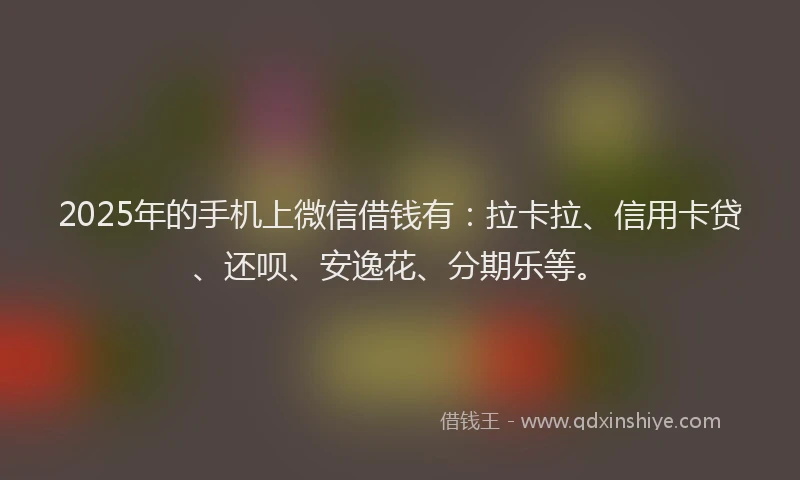 2025年的手机上微信借钱有：拉卡拉、信用卡贷、还呗、安逸花、分期乐等。