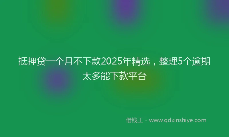 抵押贷一个月不下款2025年精选，整理5个逾期太多能下款平台