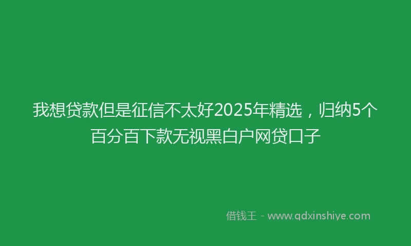 我想贷款但是征信不太好2025年精选，归纳5个百分百下款无视黑白户网贷口子