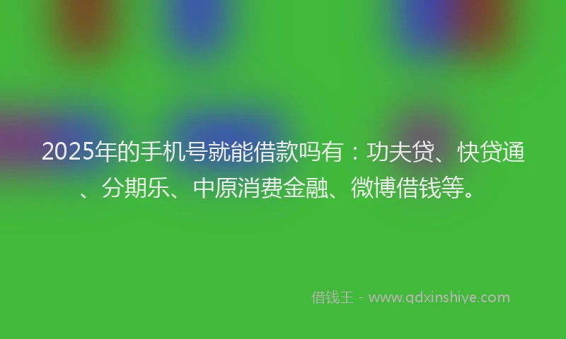 2025年的手机号就能借款吗有：功夫贷、快贷通、分期乐、中原消费金融、微博借钱等。