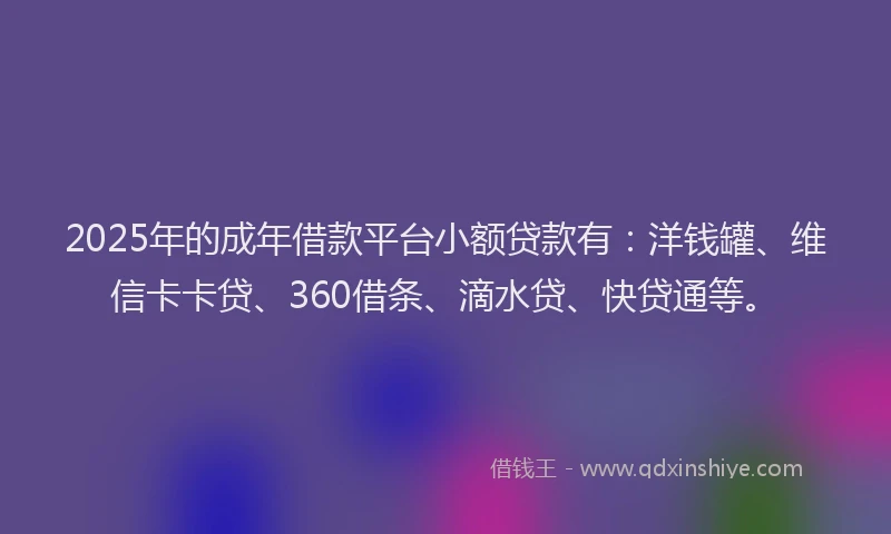 2025年的成年借款平台小额贷款有：洋钱罐、维信卡卡贷、360借条、滴水贷、快贷通等。