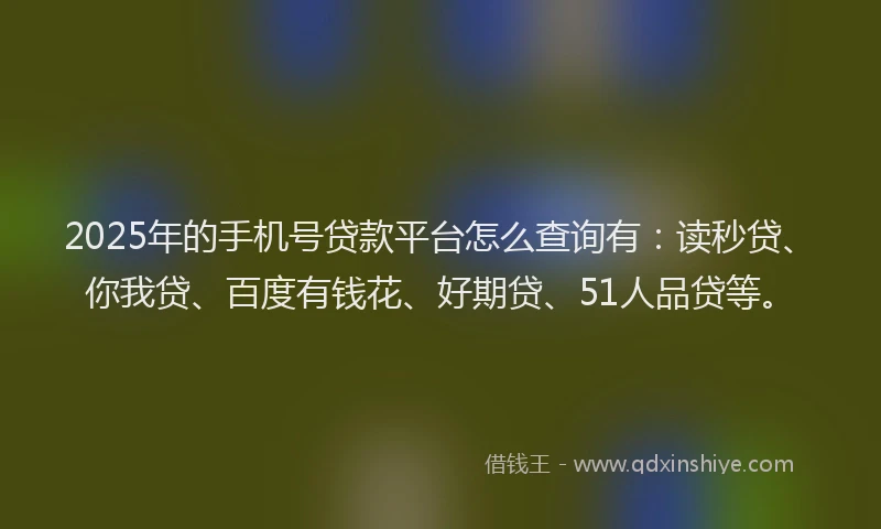 2025年的手机号贷款平台怎么查询有：读秒贷、你我贷、百度有钱花、好期贷、51人品贷等。