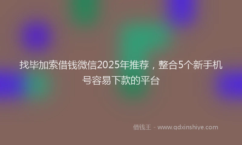 找毕加索借钱微信2025年推荐，整合5个新手机号容易下款的平台