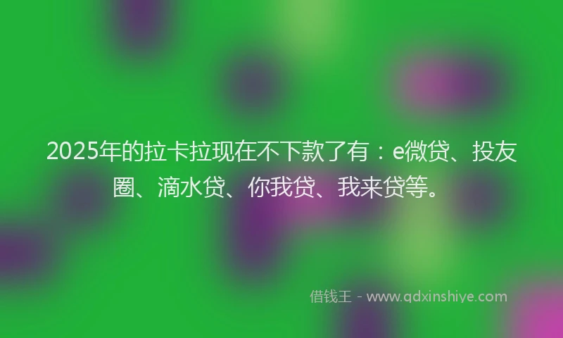 2025年的拉卡拉现在不下款了有：e微贷、投友圈、滴水贷、你我贷、我来贷等。