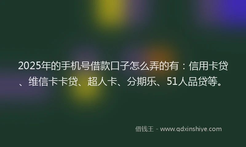 2025年的手机号借款口子怎么弄的有：信用卡贷、维信卡卡贷、超人卡、分期乐、51人品贷等。