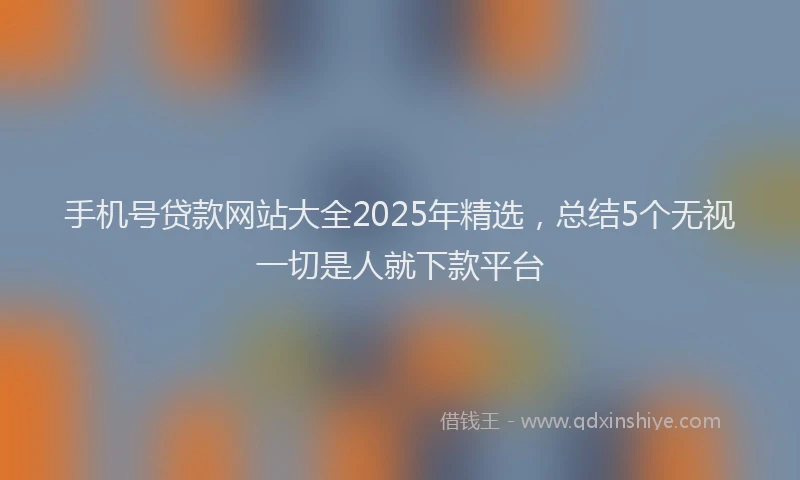 手机号贷款网站大全2025年精选，总结5个无视一切是人就下款平台