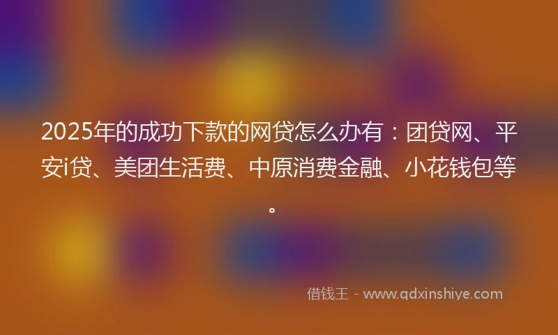 2025年的成功下款的网贷怎么办有：团贷网、平安i贷、美团生活费、中原消费金融、小花钱包等。