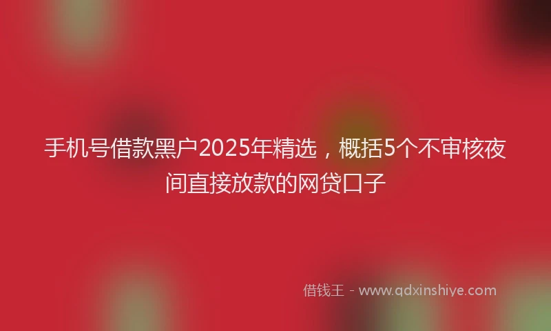 手机号借款黑户2025年精选，概括5个不审核夜间直接放款的网贷口子