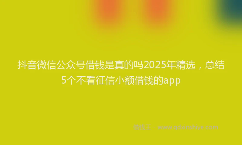 抖音微信公众号借钱是真的吗2025年精选，总结5个不看征信小额借钱的app