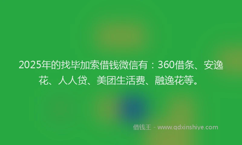 2025年的找毕加索借钱微信有：360借条、安逸花、人人贷、美团生活费、融逸花等。
