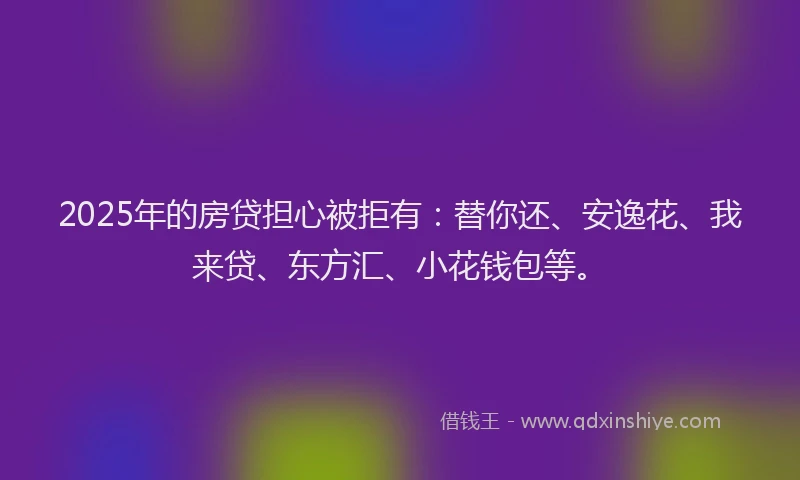 2025年的房贷担心被拒有：替你还、安逸花、我来贷、东方汇、小花钱包等。