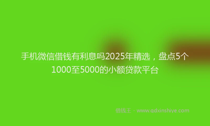 手机微信借钱有利息吗2025年精选，盘点5个1000至5000的小额贷款平台