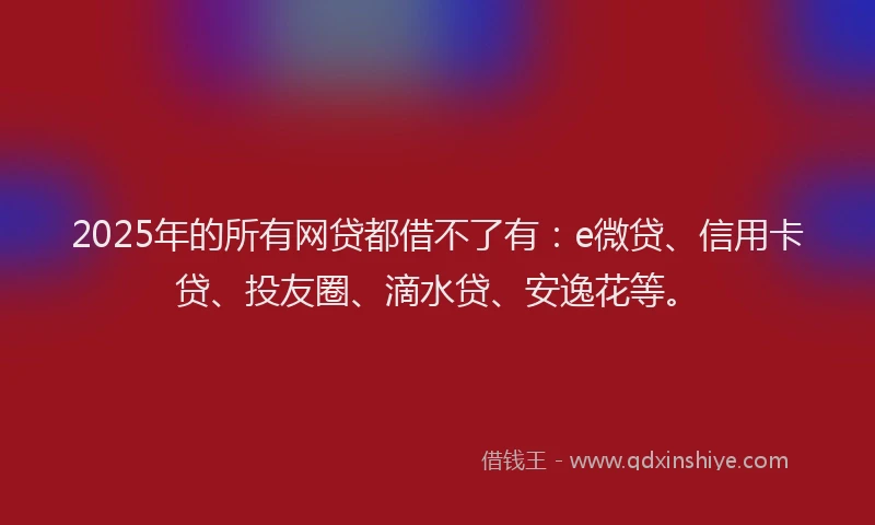 2025年的所有网贷都借不了有：e微贷、信用卡贷、投友圈、滴水贷、安逸花等。