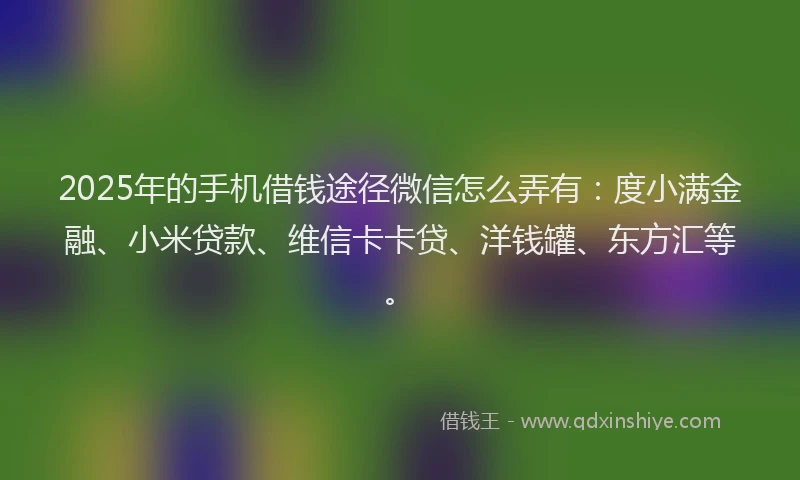2025年的手机借钱途径微信怎么弄有：度小满金融、小米贷款、维信卡卡贷、洋钱罐、东方汇等。
