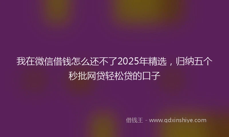 我在微信借钱怎么还不了2025年精选，归纳五个秒批网贷轻松贷的口子